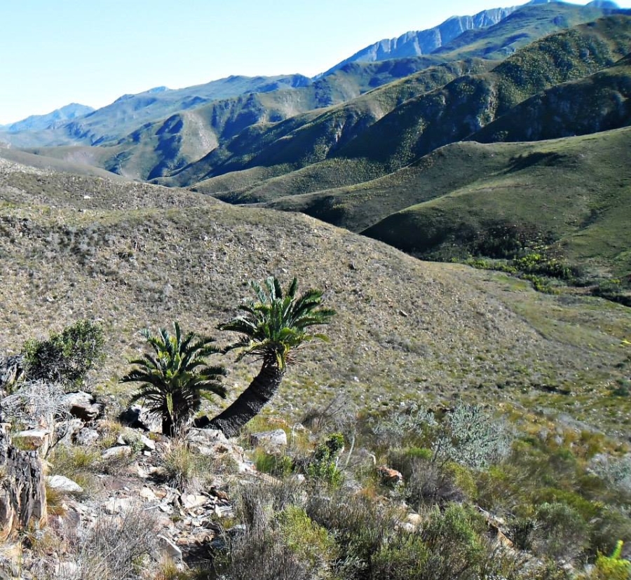 3 Bedroom Property for Sale in Joubertina Eastern Cape